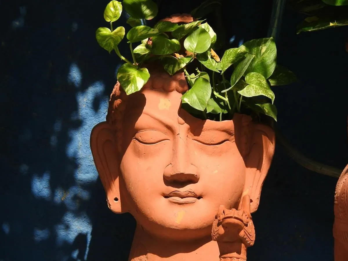 The Coral Tree Boutique Homestay Agra