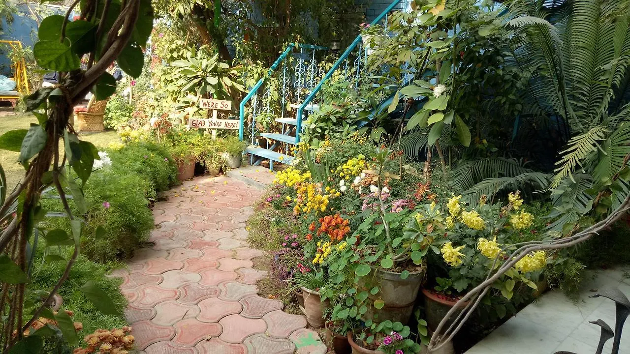 The Coral Tree Boutique Homestay Agra  0*, Agra (Uttar Pradesh)