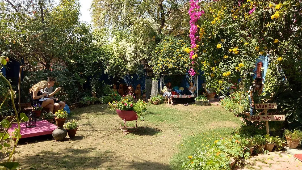 The Coral Tree Boutique Homestay Agra  Agra (Uttar Pradesh)