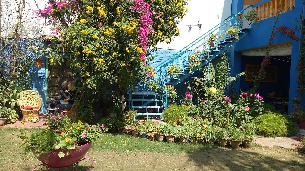 The Coral Tree Boutique Homestay Agra