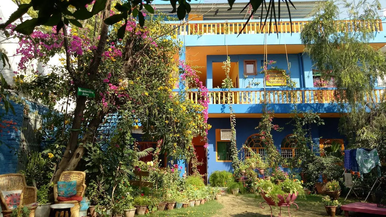 The Coral Tree Boutique Homestay Agra