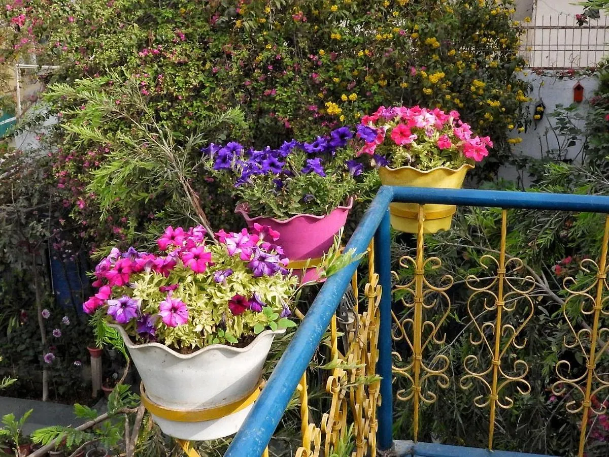 The Coral Tree Boutique Homestay Agra