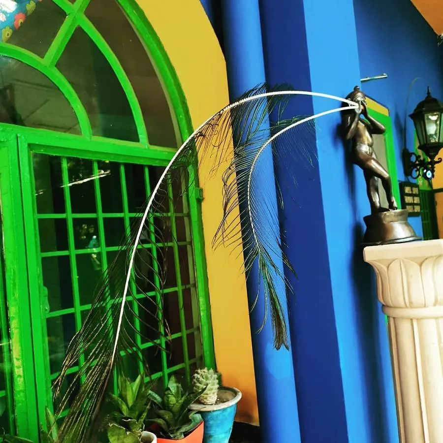 The Coral Tree Boutique Homestay Agra  0*, Agra (Uttar Pradesh) India