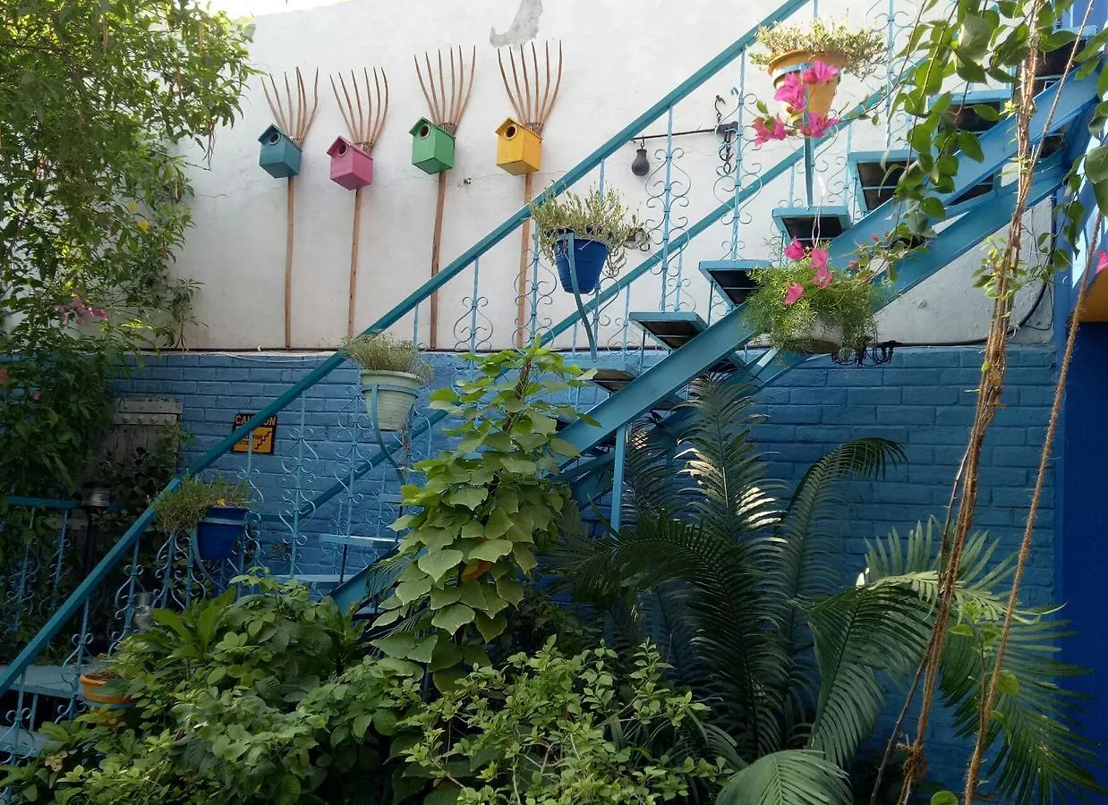 The Coral Tree Boutique Homestay Agra  0*, Agra (Uttar Pradesh)