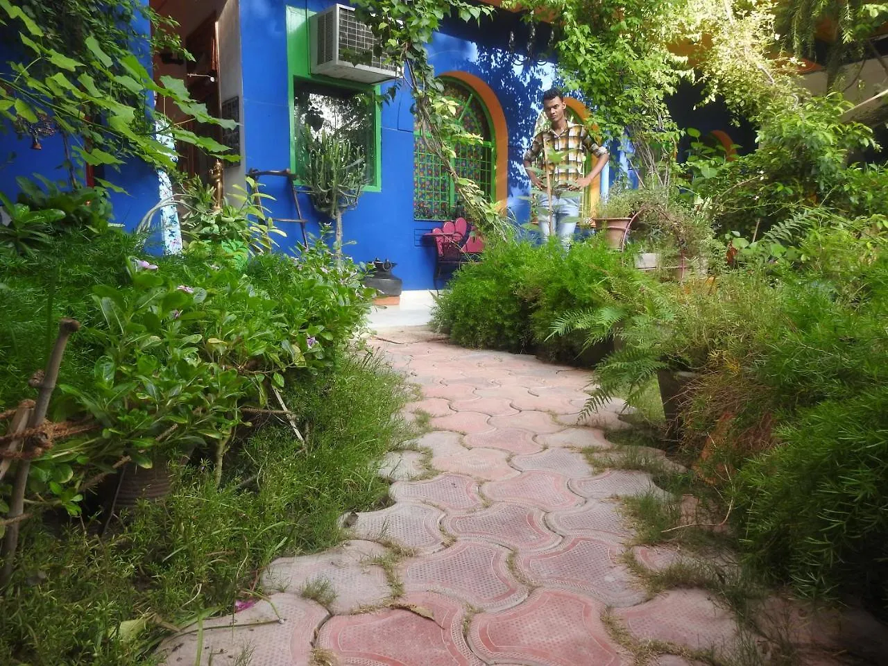 The Coral Tree Boutique Homestay Агра 0*,  Индия