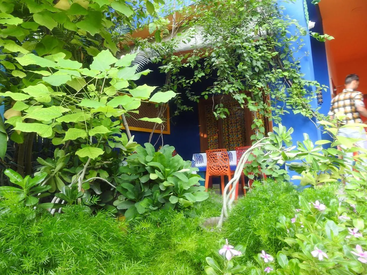 The Coral Tree Boutique Homestay Agra  Agra (Uttar Pradesh)